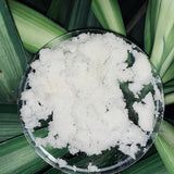 Lavender Beauty Polish